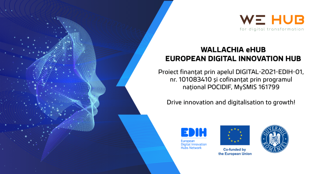 integrisoft wallachia ehub (2)