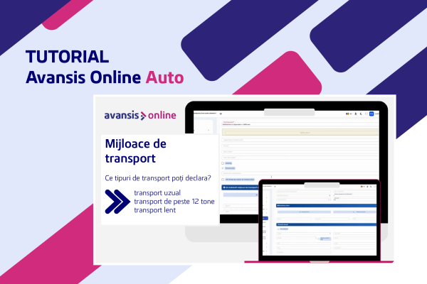 Tutorial Avansis Online Auto