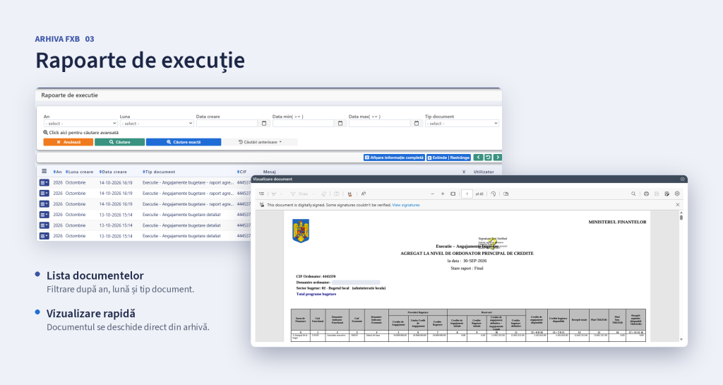 Rapoarte de executie