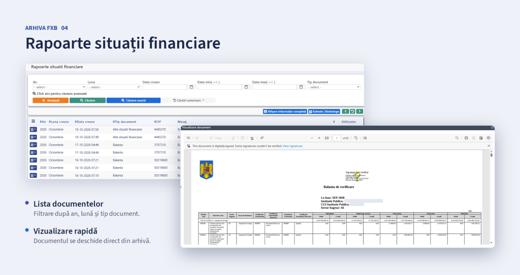 Rapoarte de situatii financiare